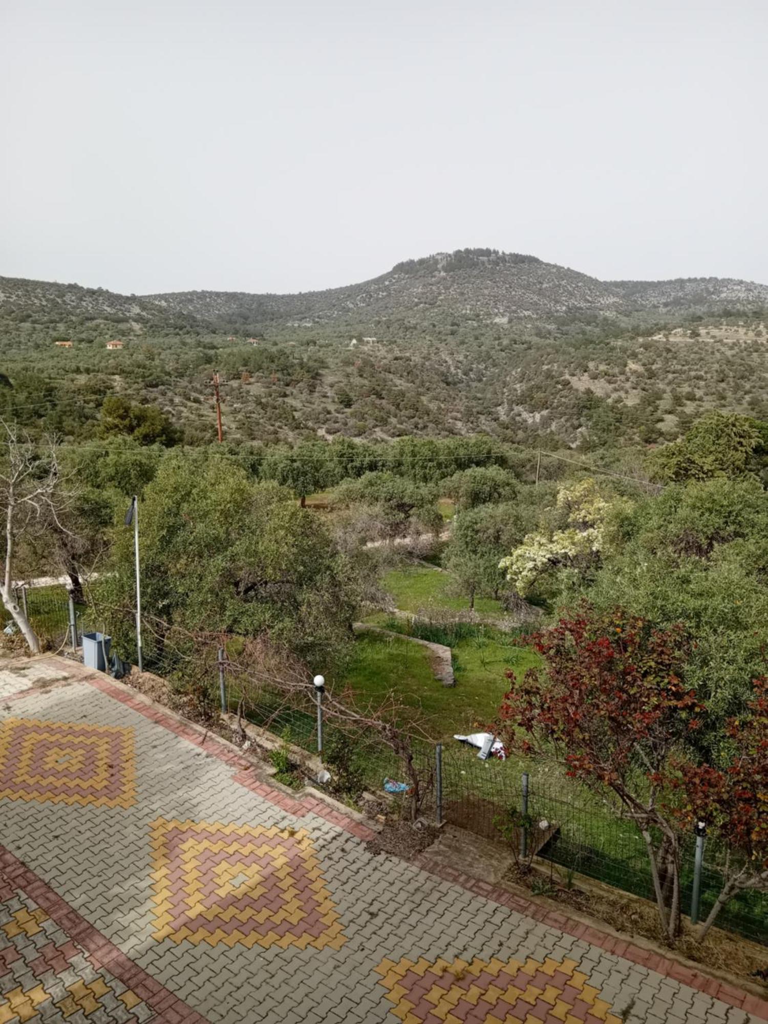 אסטריס Giola Aparments And Studios 2 חדר תמונה