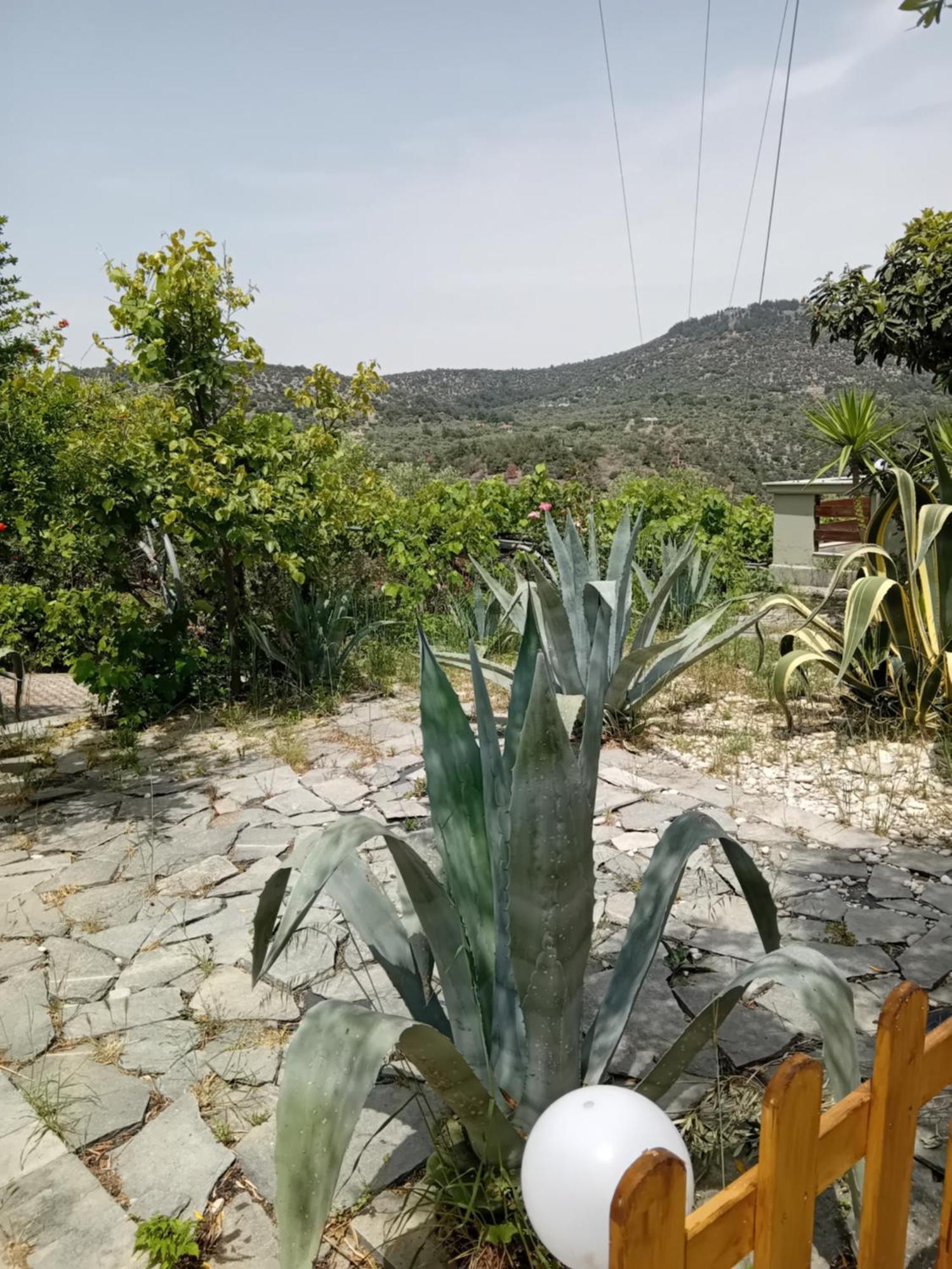 אסטריס Giola Aparments And Studios 2 מראה חיצוני תמונה