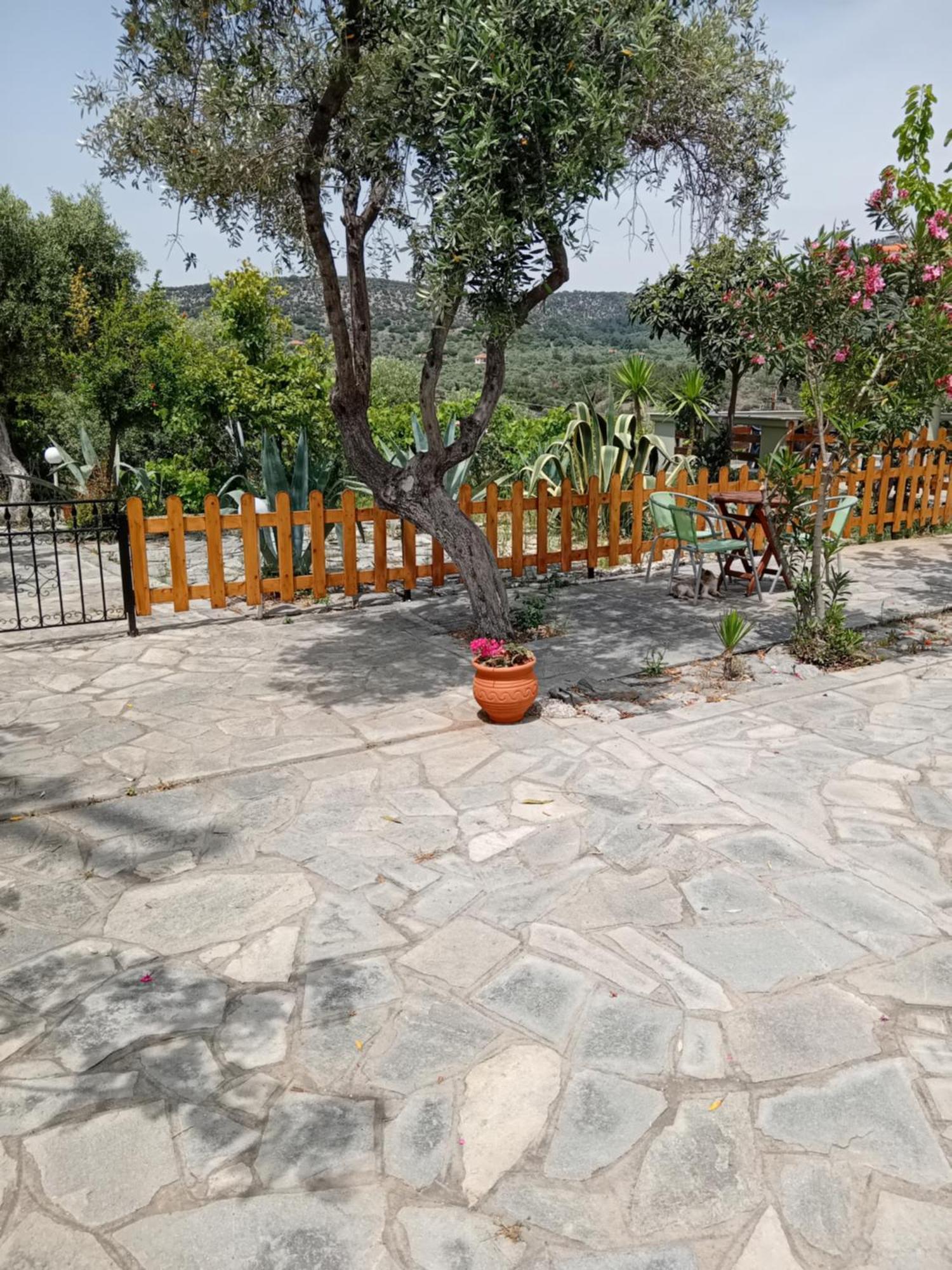 אסטריס Giola Aparments And Studios 2 מראה חיצוני תמונה